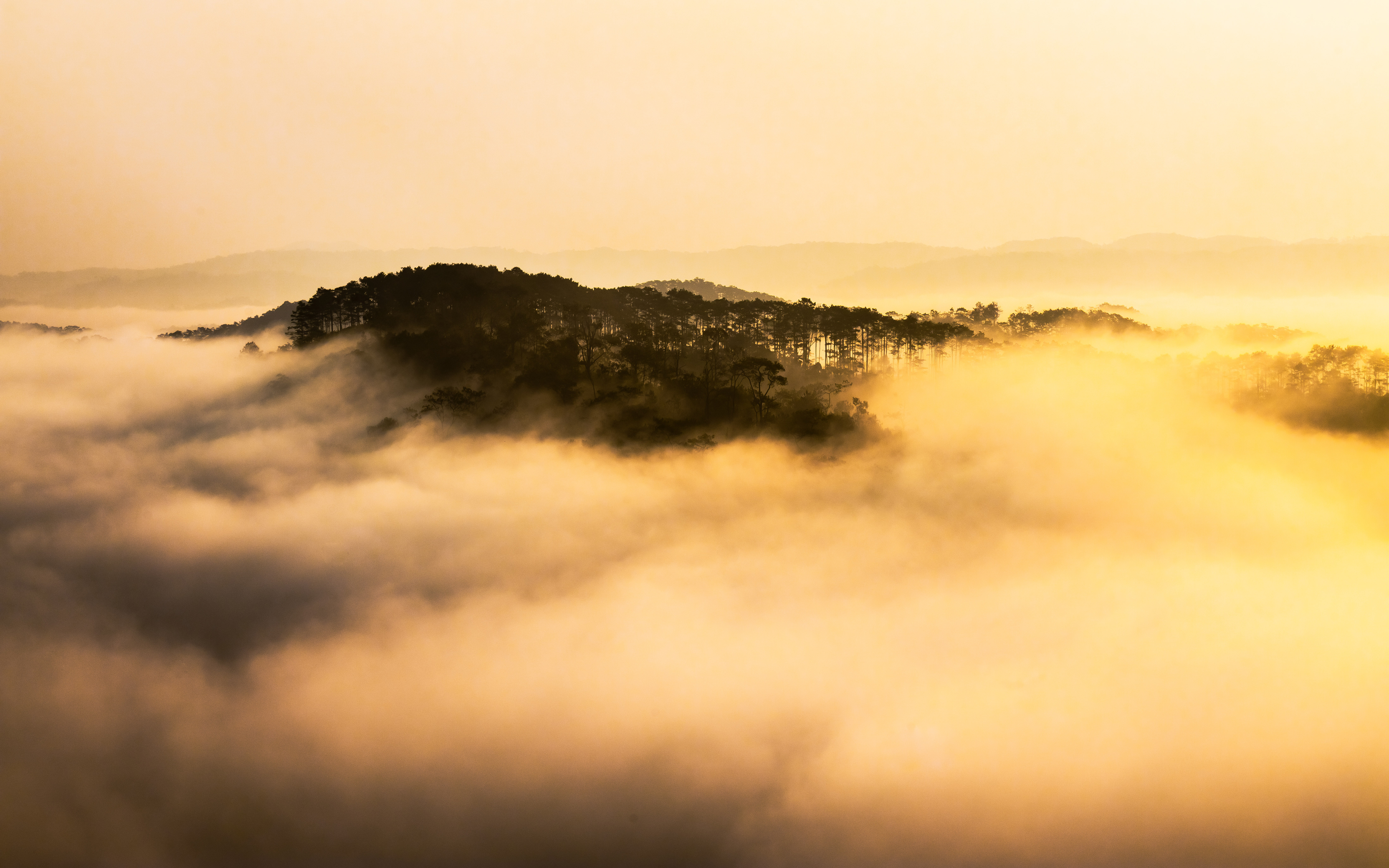 Rừng thông Măng Đen mờ sương