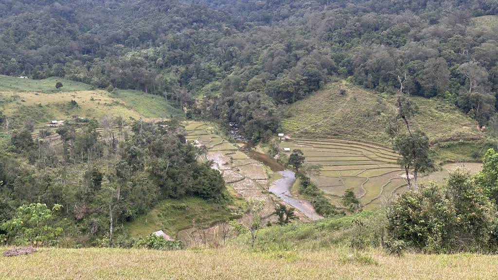 Đồi bò Măng Cành