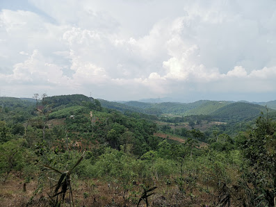 Đường thông chữ S