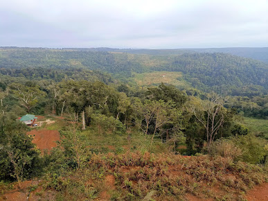 Farm khu công nghệ cao (khu 37 hộ)