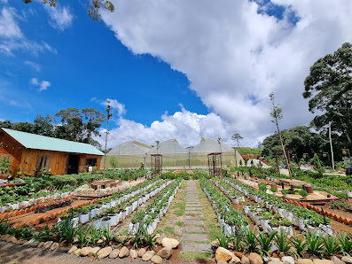 Farmer’s Garden Măng Đen