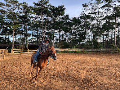 Măng Đen Horse Farm