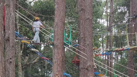 Măng Đen Tree House Village Zipline