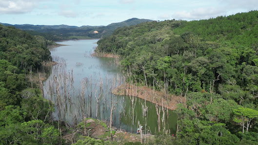 Rừng chết Măng Đen / Hồ thủy điện thượng