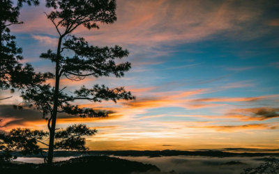 Săn mây đồi Đức Mẹ – nghĩa trang cũ