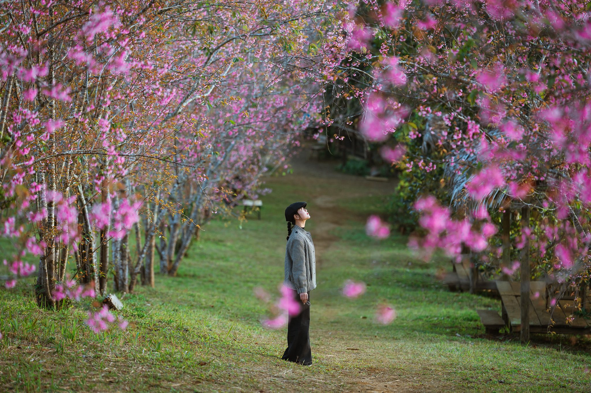 Vườn hồng Sóc Farm