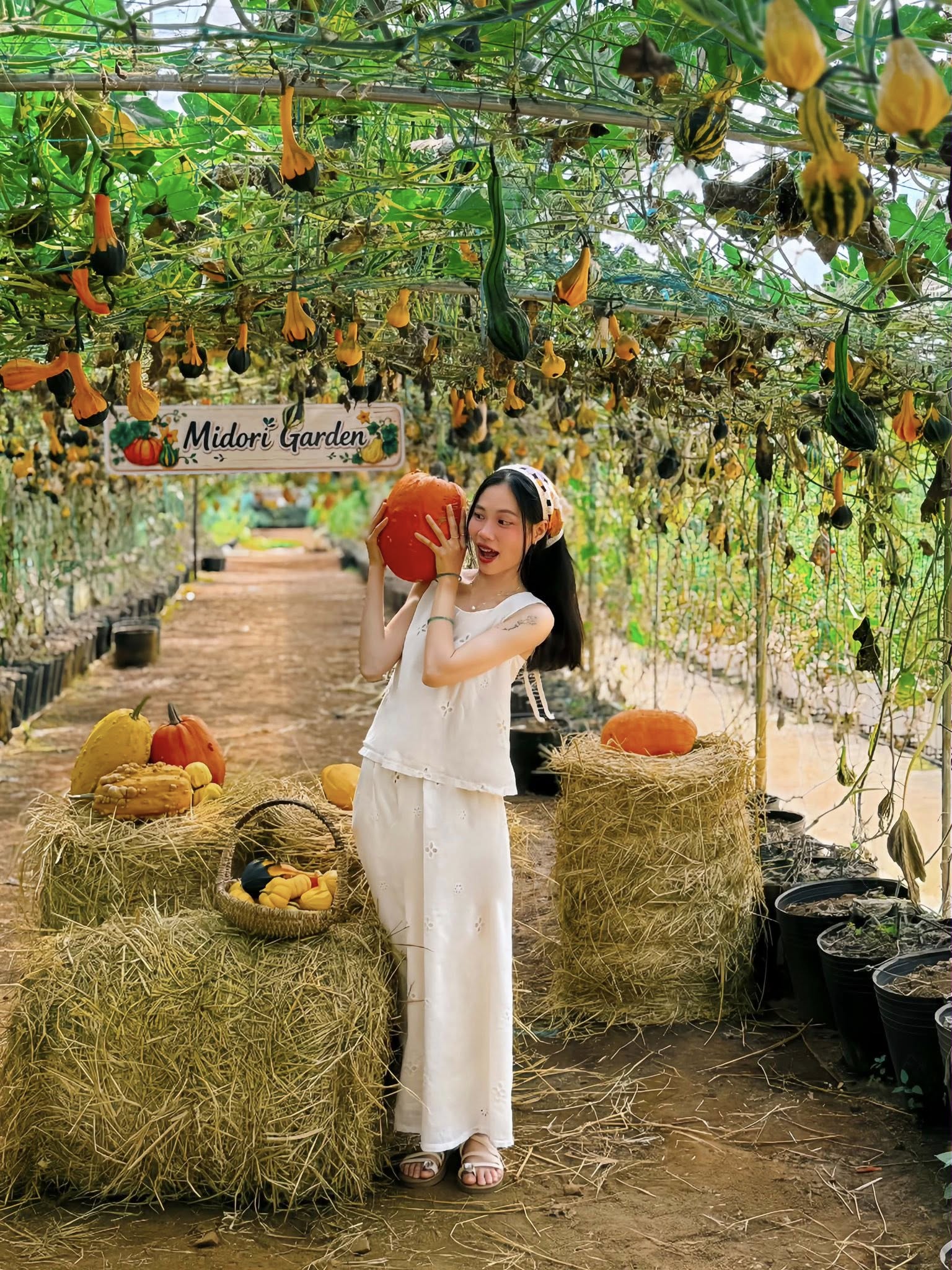 Midori Garden – Vườn dâu tây Măng Đen